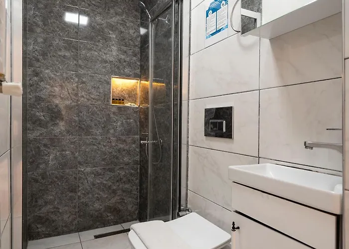 Отель Emir Hotel 3*